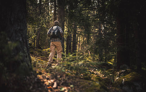istock Traveler walking alone in the forest at sunset 603179684