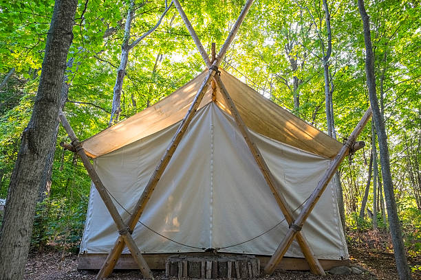 istock Camping Tent in the Woods 603179814