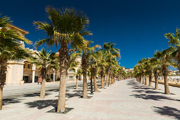 istock Alley with palm trees 603181964
