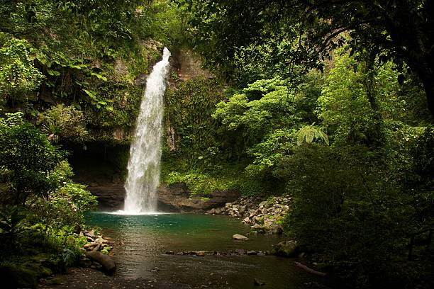 istock Waterfall in a Fijian jungle 603185856