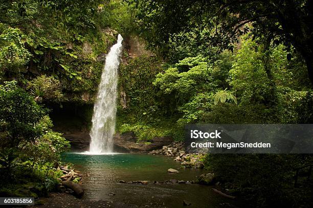 Waterfall In A Fijian Jungle Stock Photo - Download Image Now - Fiji, Waterfall, Exploration