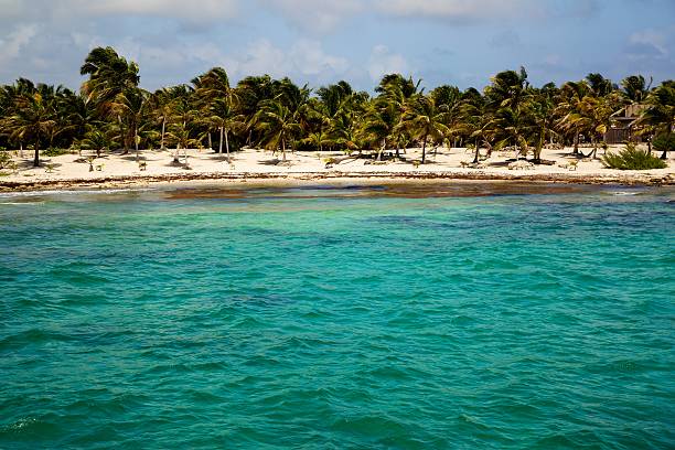 istock Tropical island landscape with palm trees 603185972