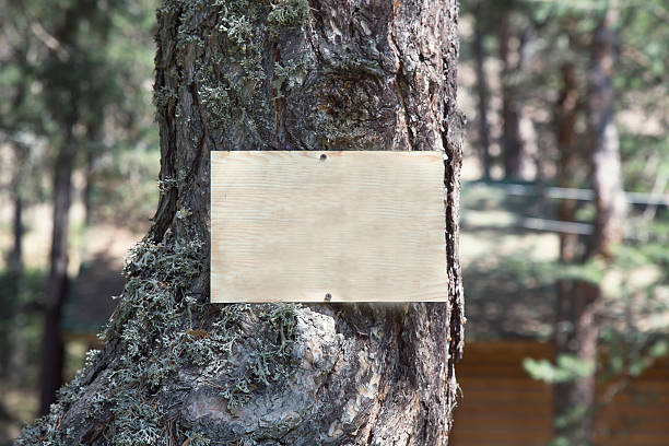 istock Vintage blank brown sign hanging on tree 603186582