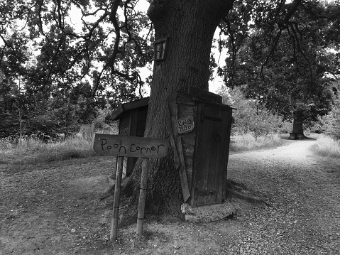 Antigua casa del árbol de madera photo