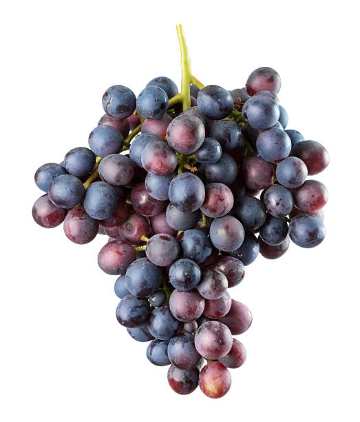 istock purple grapes isolated on the white background 603188726