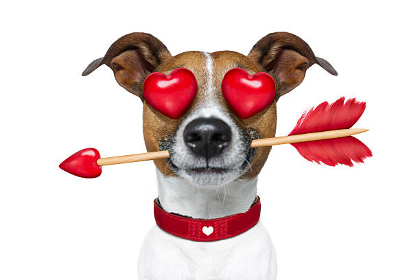 istock emoticon or  Emoji crazy in love 603190510