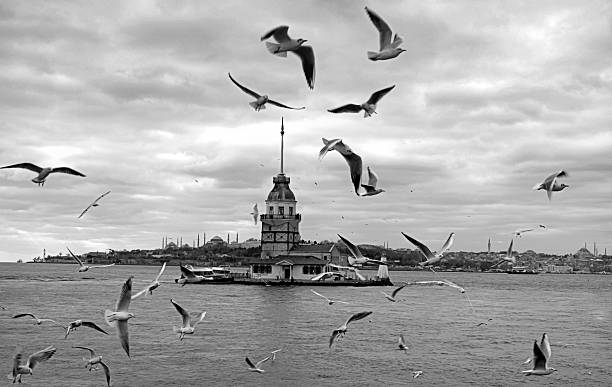 istock Maidens Tower in Istanbul 603190974