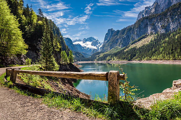 amanecer soleado en el lago gosausee en gosau, alpes, austria - spring forest scenics reflection fotografías e imágenes de stock