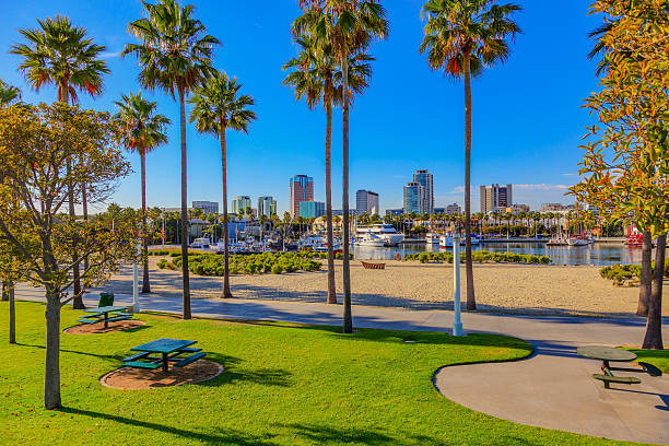 istock Waterfront marina with skyline of Long Beach , CA 603193560