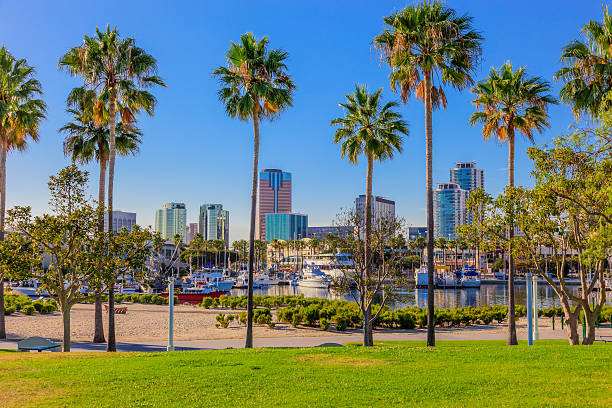 istock Waterfront marina with skyline of Long Beach , CA 603193594