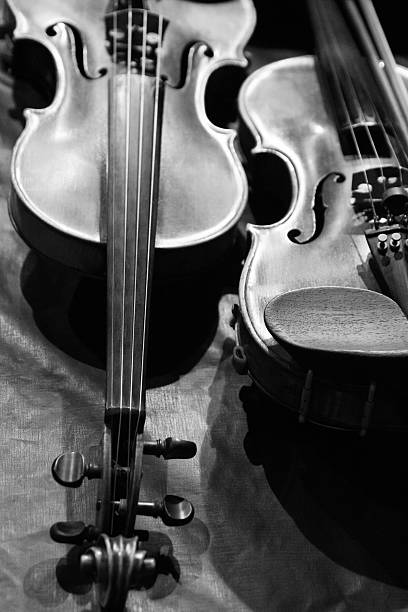 istock Violin musical instrument black and white 603194226