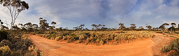 wa ballad unealed road pan - spinnifex - fotografias e filmes do acervo