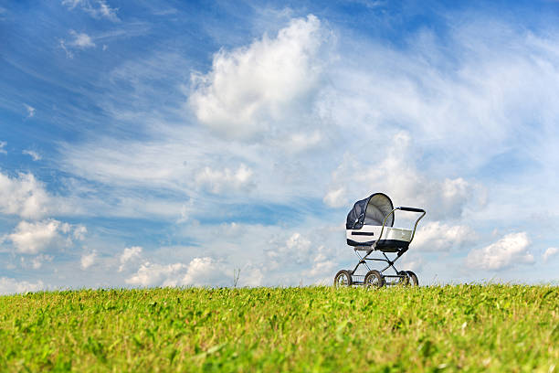 baby stroller on a walk in the park summer day