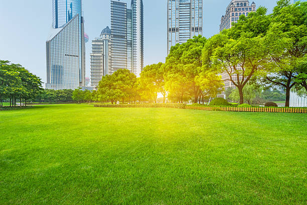 istock green lawn with city skyline background 603250984