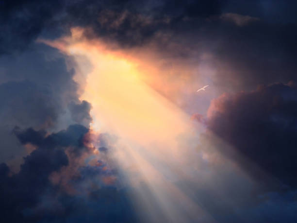 ptak w lot wysoki powyżej w dramatyczne niebo - cloud heaven light sunbeam zdjęcia i obrazy z banku zdjęć