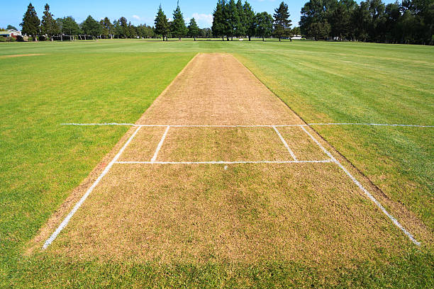 istock Cricket pitch sport field background 603252192