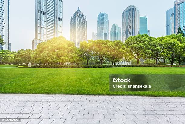 Shanghai Central Park Stock Photo - Download Image Now - Public Park, City, Green Color