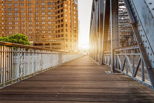 istock The Waibaidu Bridge in Shanghai 603253130