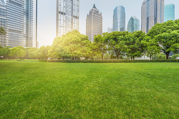 istock green lawn with city skyline background 603254578