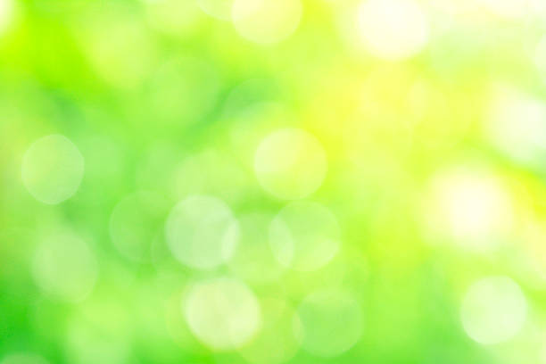 istock Natural Pastel Green and Yellow Abstract Bokeh Background 603256184