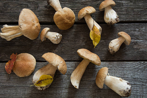 istock Fresh white mushrooms on wooden board, overhead view. 603259116