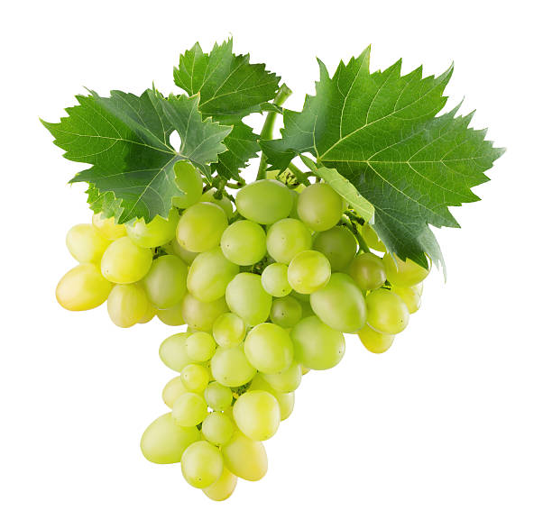 istock green grapes isolated on the white background 603259556