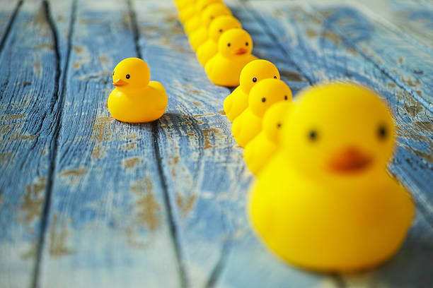istock One large rubber duck with many smaller ones following it. 603260738