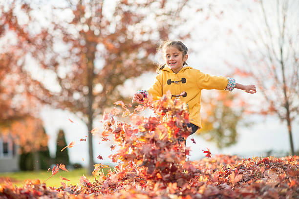 istock Running Through a Pile of Leaves 603262488