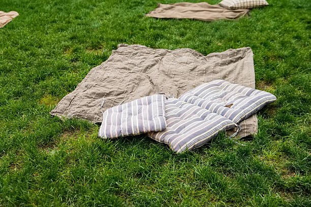 istock Picnic blanket with pillow on the grass field 603267812