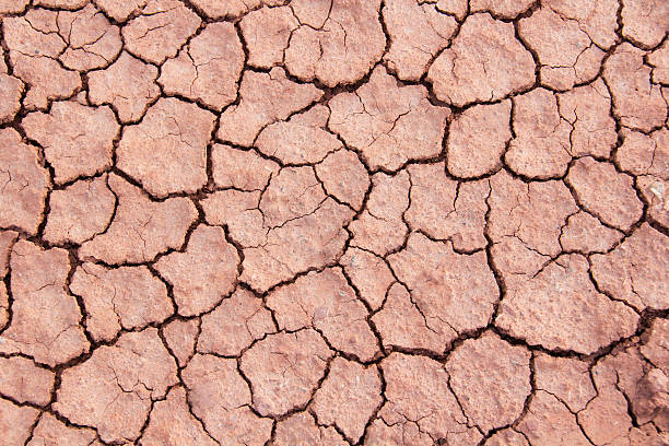 fond de terre fissurée sèche, texture désertique argileuse, terre ferme - global warming cracked dirt earth photos et images de collection