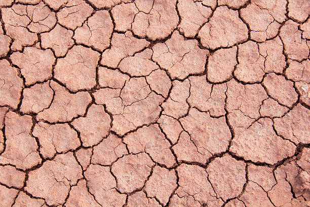 Dry cracked earth background, clay desert texture, dry land Land, Dirt, Arid Climate, Dry, Cracked, creative, idea, concepts, background morph transition stock pictures, royalty-free photos & images
