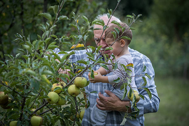 istock Grandfather and grandson 603272298