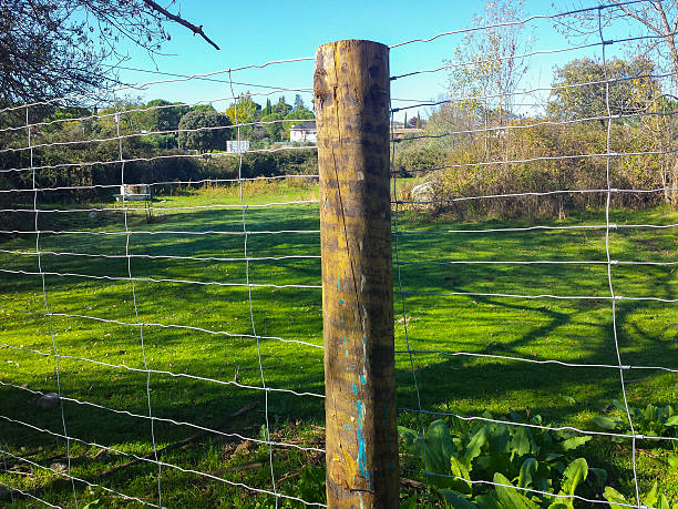 istock wooden post on a fence in the field 603272548