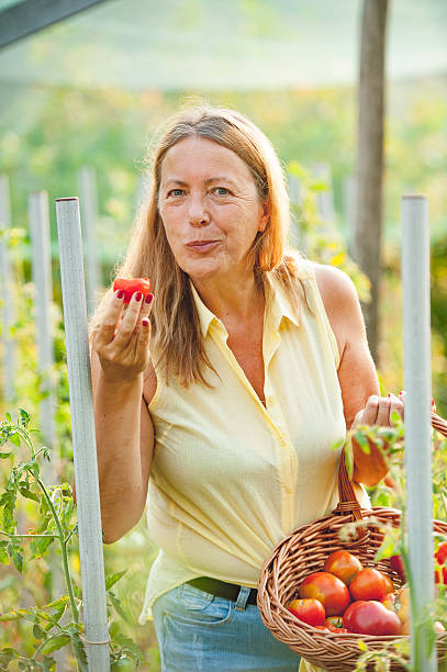istock Senior Woman Tasting her Homegrown Tomatoes 603276352