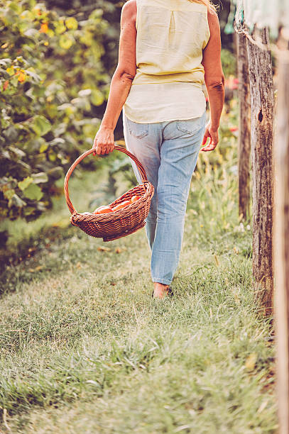 istock Senior Woman in Her Vegetable Garden 603276380