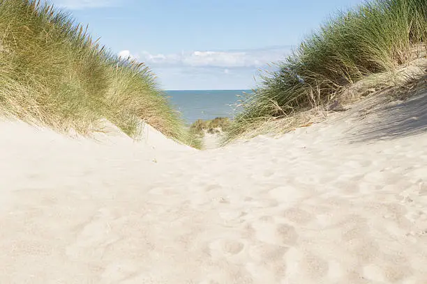 white sand of dune and entrance to north sea