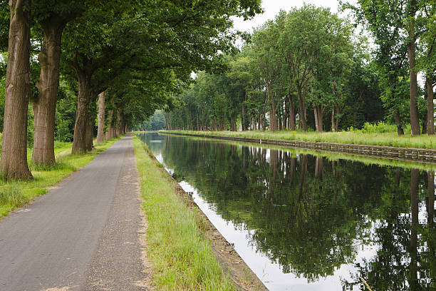 istock canal with trees at border 603278350