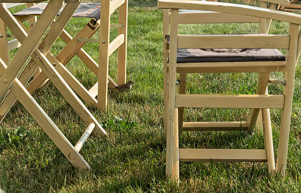 Wooden chairs in a green garden with a house sparrow