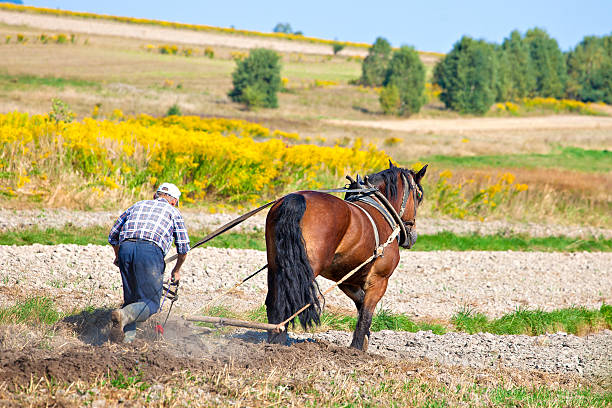 istock Farmer and horse plowing 603279740