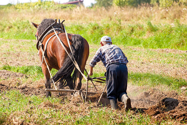 istock Farmer and horse plowing 603279916