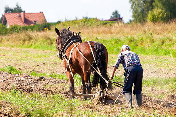 istock Farmer and horse plowing 603279960