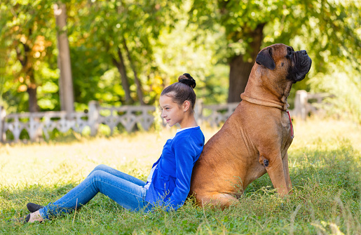 teen girl with the dog Bullmastiff outdoors
