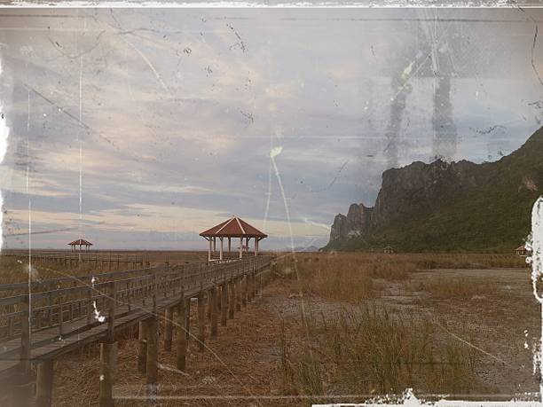 istock Wetland dry at Sam Roi Yot National Park 603280524