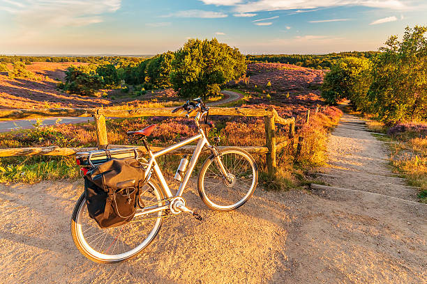 Electric bicycle in Dutch national park The Veluwe Electric bicycle in Dutch national park The Veluwe with blooming heathland, The Netherlands gelderland photos stock pictures, royalty-free photos & images