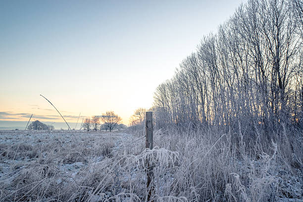 istock Fence post on a frosty field 603283158