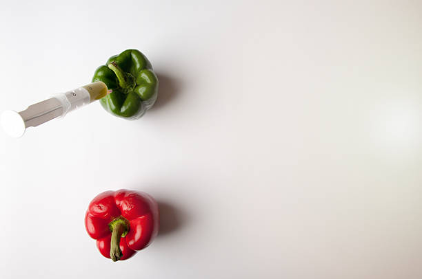 Green and reed pepper with syringe. GMO Green and reed pepper with syringe. GMO genetic modification change improvement science stock pictures, royalty-free photos & images