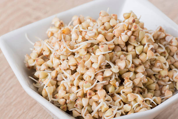 Sprouts of buckwheat groats in bowl stock photo