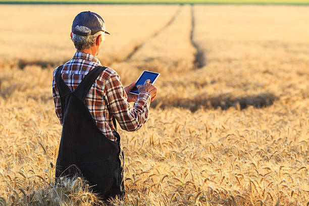 landwirt mit digitalem tablet auf dem feld - onesie stock-fotos und bilder