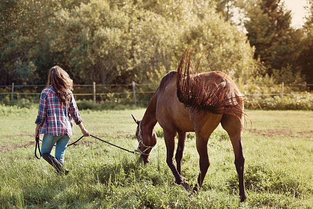 istock Young woman with horse 603287736