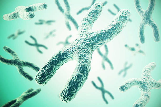 istock Chromosomes on green background, scientific concept 3d illustration 603288002
